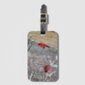 Kardinalen in de sneeuw bagagelabel (Voorkant (verticaal))