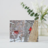 Kardinalen in de sneeuw briefkaart (Staand voorkant)