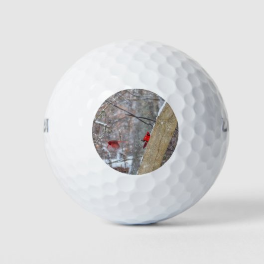 Kardinalen in de sneeuw golfballen (Voorkant)