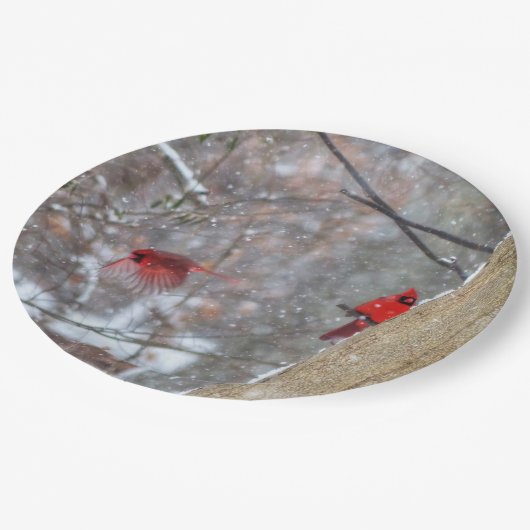 Kardinalen in de sneeuw papieren bordje (Gekanteld)