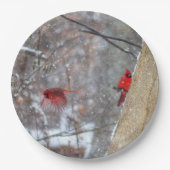 Kardinalen in de sneeuw papieren bordje (Voorkant)