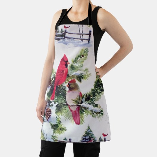 Kardinalen in de sneeuw schort (Insitu)