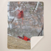 Kardinalen in de sneeuw sherpa deken (Voorkant)