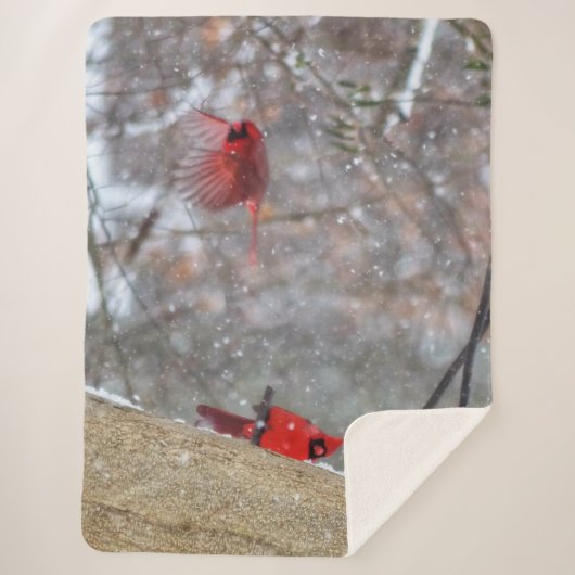 Kardinalen in de sneeuw sherpa deken (Voorkant)