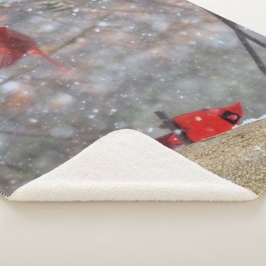 Kardinalen in de sneeuw sherpa deken (3/4)