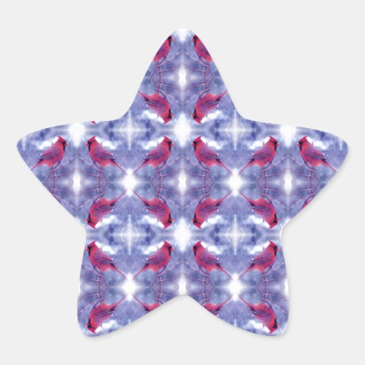 Kardinalen in de sneeuw ster sticker (Voorkant)