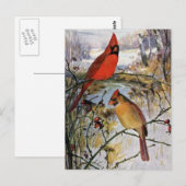 Kardinalen in de winter briefkaart (Voorkant / Achterkant)