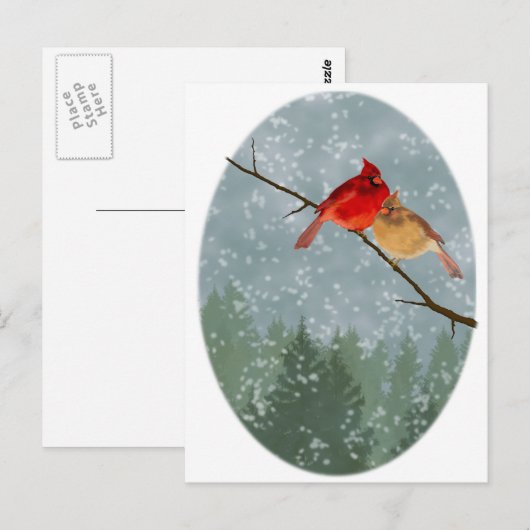 kardinalen in de winter briefkaart (Voorkant / Achterkant)