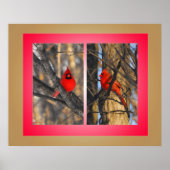 Kardinalen in een "Crisp"-winterochtend Poster (Voorkant)