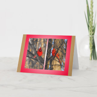 Kardinalen in een "Kernachtige" Ochtend van de Feestdagen Kaart