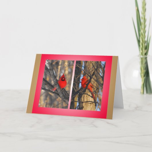 Kardinalen in een "Kernachtige" Ochtend van de Feestdagen Kaart (Voorkant)