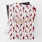 Kardinalen Inpakpapier Vel (In situ)