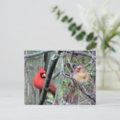 Kardinalen ( lente ) briefkaart (Staand voorkant)