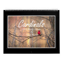 Kardinalen Maandelijkse kalender 2018 door Thomas 