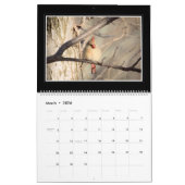 Kardinalen Maandelijkse kalender 2018 door Thomas  (Mar 2026)