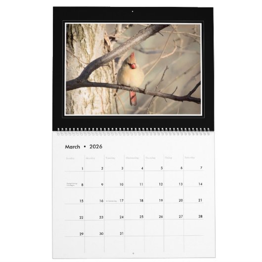 Kardinalen Maandelijkse kalender 2018 door Thomas  (Mar 2026)