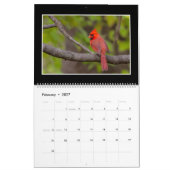 Kardinalen Maandelijkse kalender 2018 door Thomas  (Feb 2027)