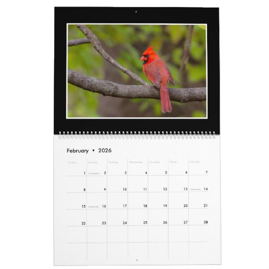 Kardinalen Maandelijkse kalender 2018 door Thomas  (Feb 2026)