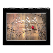 Kardinalen Maandelijkse kalender 2018 door Thomas  (Hoes)