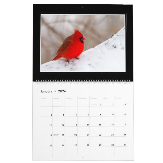 Kardinalen Maandelijkse kalender 2018 door Thomas  (Jan 2026)