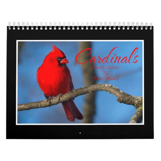 Kardinalen Maandkalender Door Thomas Minutolo Kalender (Hoes)