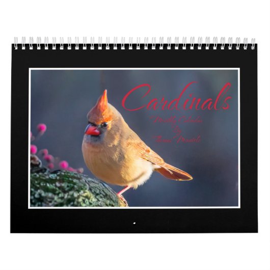 Kardinalen Maandkalender Kalender (Hoes)