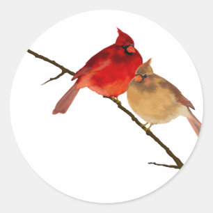 kardinalen op een bijkantoor ronde sticker
