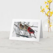 KARDINALEN OP EEN LEDEMAAT *GOED KRIJGEN* WENS KAART (Gele Bloem)