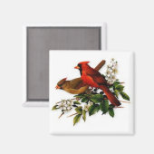 Kardinalen op een vierkante magneet (Voorkant / Achterkant)