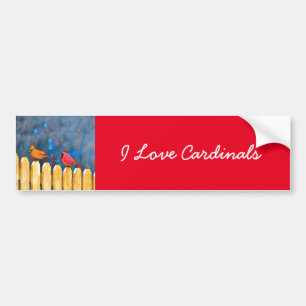 Kardinalen op het schilderen van de hek - Oorspron Bumpersticker