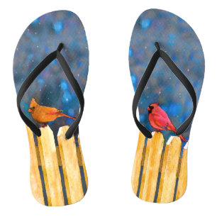 Kardinalen op het schilderen van de hek - Oorspron Teenslippers