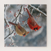 Kardinalen op wintertak legpuzzel (Horizontaal)