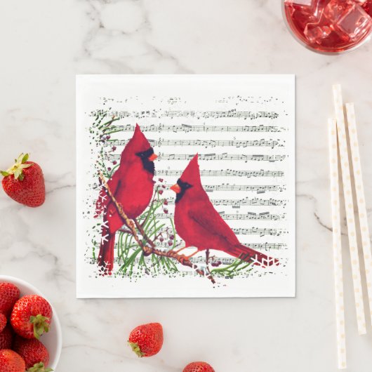 Kardinalen Servet (Insitu)