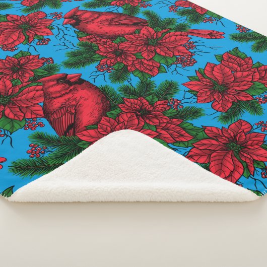 Kardinalen Sherpa Deken (3/4)