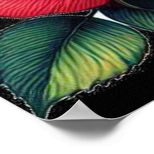 Kardinalen te midden van levendige Rozen Poster (Hoek)