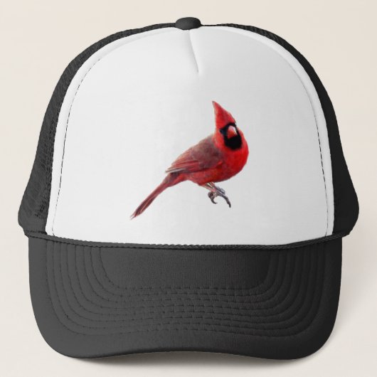 Kardinalen Trucker Pet (Voorkant)