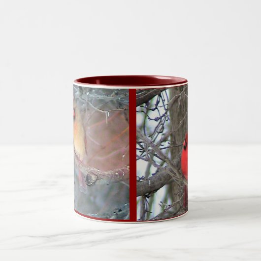 Kardinalen Tweekleurige Koffiemok (Center)