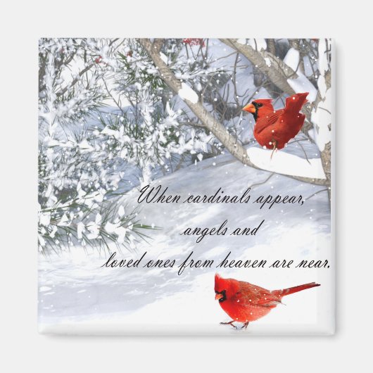 Kardinalen uit de hemel magneet (Voorkant)