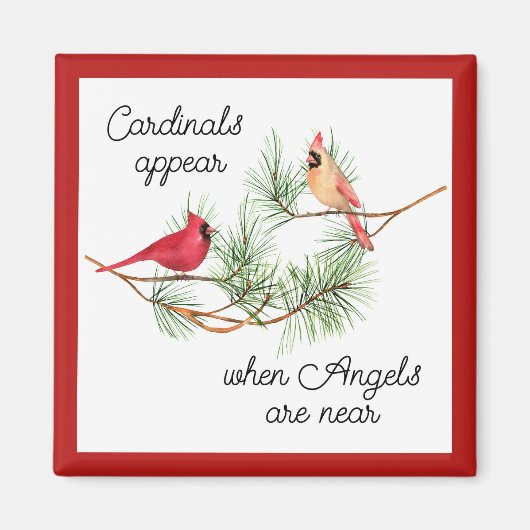 Kardinalen verschijnen als engelen in de buurt van magneet (Voorkant)