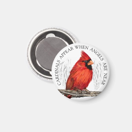 Kardinalen verschijnen als engelen in de buurt van magneet (Voorkant / Achterkant)