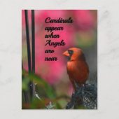 Kardinalen verschijnen wanneer engelen in de buurt briefkaart (Voorkant)