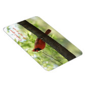 Kardinalen verschijnen wanneer engelen in de buurt magneet (Rechterzijde)