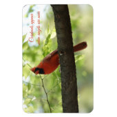 Kardinalen verschijnen wanneer engelen in de buurt magneet (Verticaal)