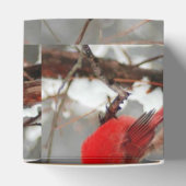 kardinalen voor mannetjes en vrouwen bedankdoosjes (Bovenkant)