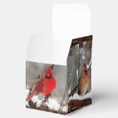 kardinalen voor mannetjes en vrouwen bedankdoosjes (Geopend)