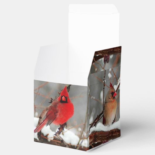 kardinalen voor mannetjes en vrouwen bedankdoosjes (Geopend)