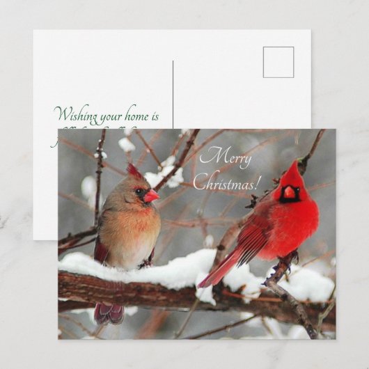 kardinalen voor mannetjes en vrouwen feestdagenkaart (Voorkant / Achterkant)