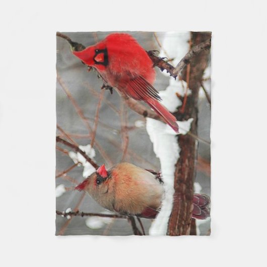 kardinalen voor mannetjes en vrouwen fleece deken (Voorkant)