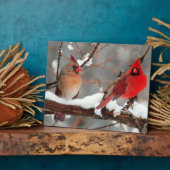 kardinalen voor mannetjes en vrouwen fotoplaat (Zijkant)