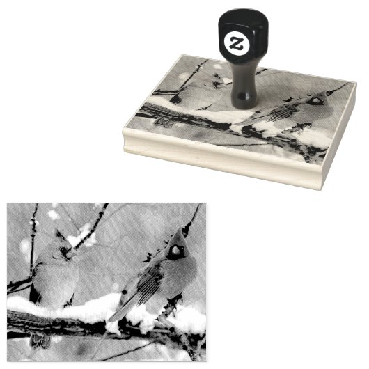 kardinalen voor mannetjes en vrouwen rubberstempel (Gestempeld)